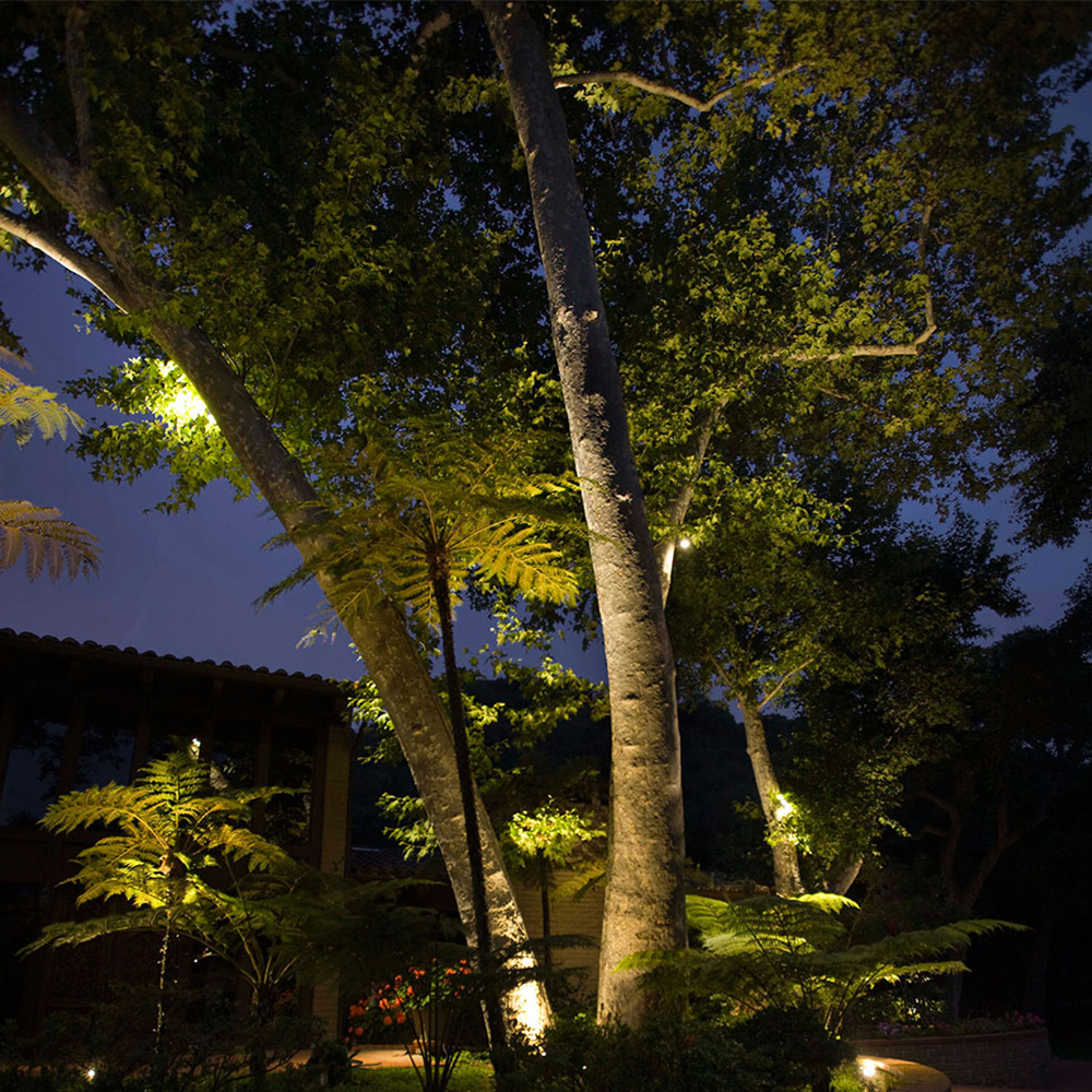 Landscape Lighting Tips At Lumens, Landscape Lighting Ideas Trees