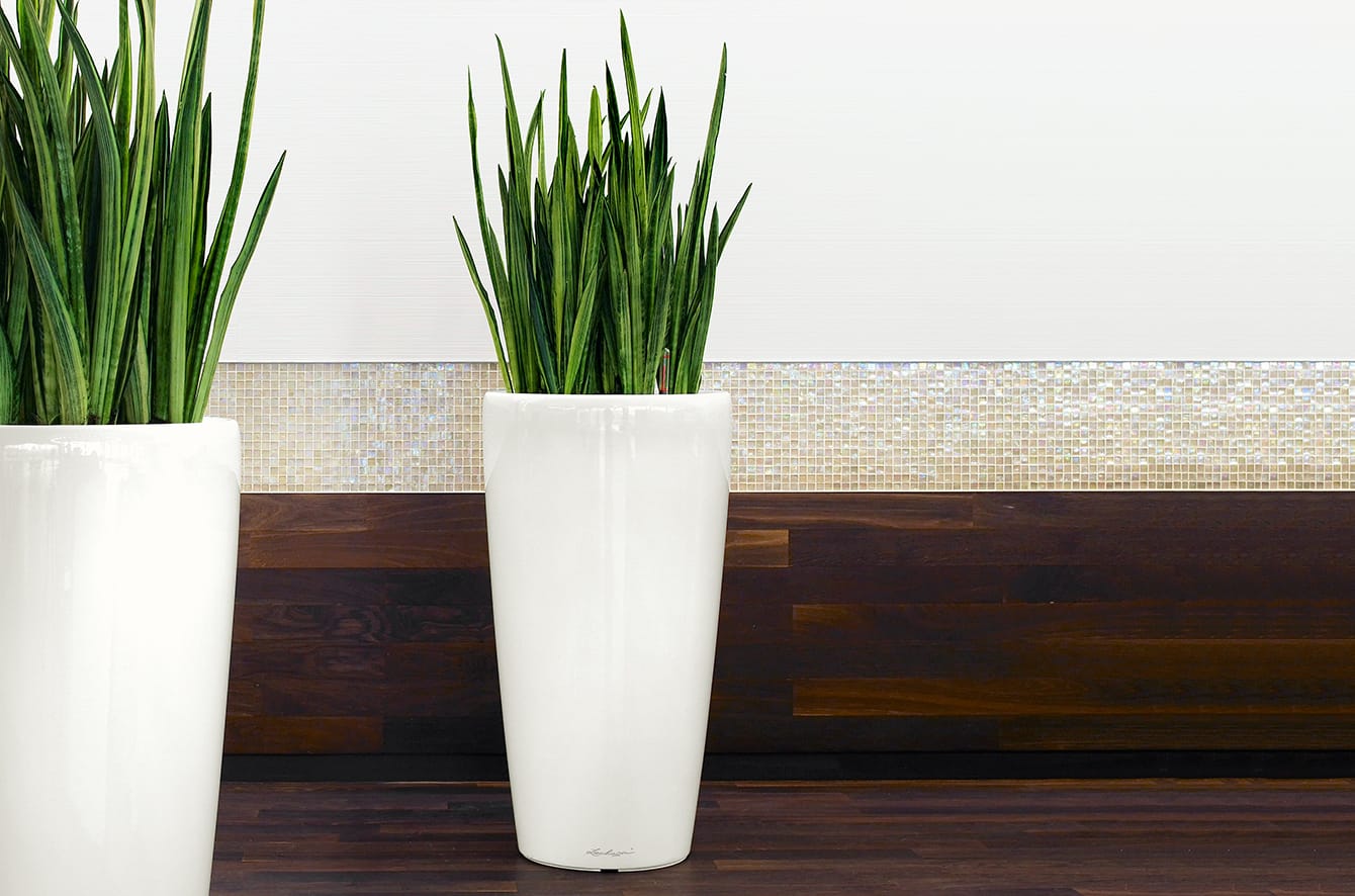 Rondo 32 Self Watering Planter by Lechuza