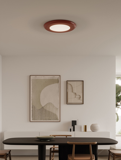 Flush Mount Ceiling Lights