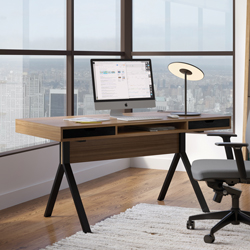Home Office & Work Space Desks