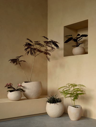 Outdoor Planters