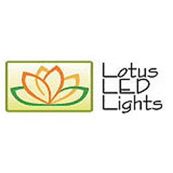 Recessed Lighting Lotus LED Lights