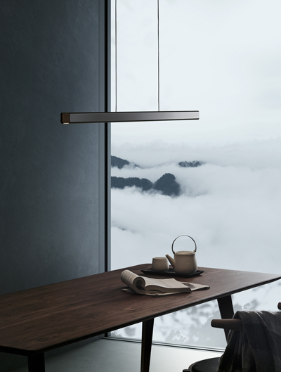 Seed Design Linear Suspension