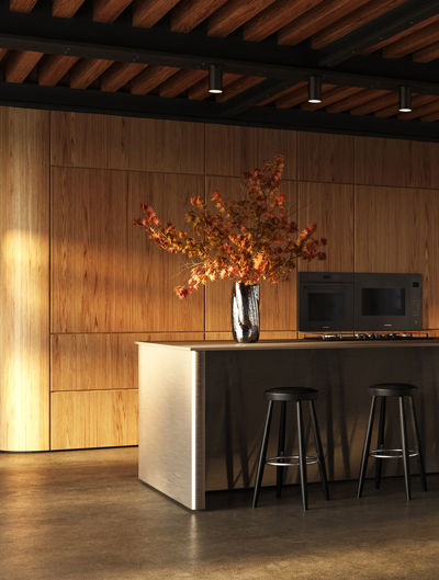 Downtown Living Kitchen