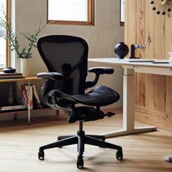 Home Office & Work Space Desk Chairs