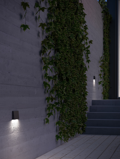 Landscape Lighting