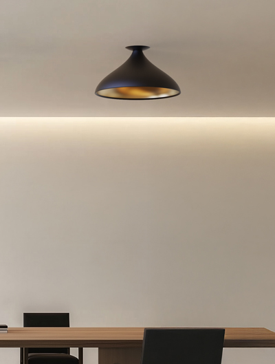 21 to 25 Inches Wide Ceiling Lights