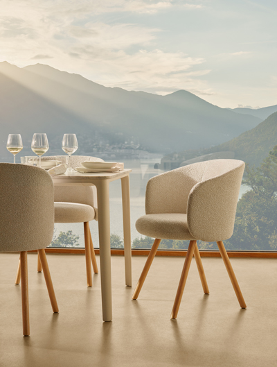 Vitra Dining Chairs