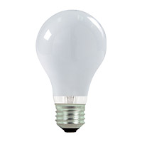 Light Bulbs Incandescent