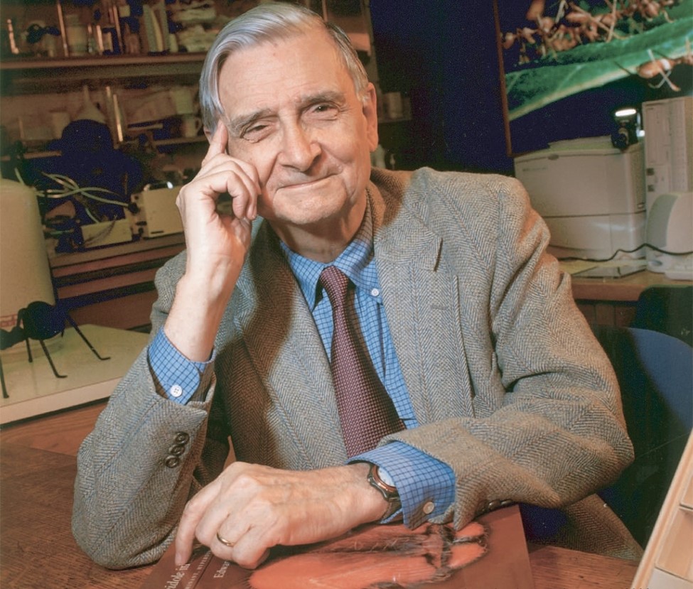 E.O. Wilson, creator of the Biophilia Hypothesis